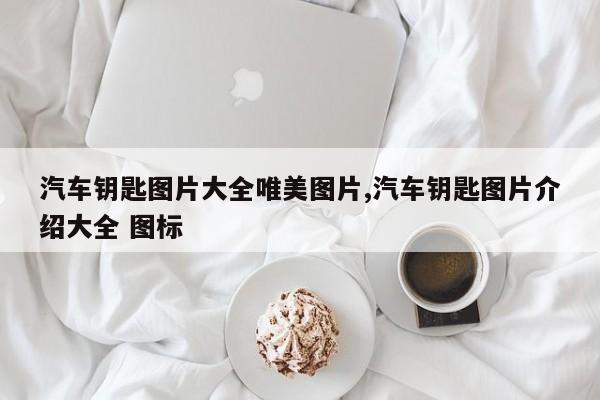 汽车钥匙图片大全唯美图片,汽车钥匙图片介绍大全 图标