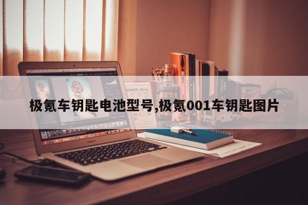 极氪车钥匙电池型号,极氪001车钥匙图片